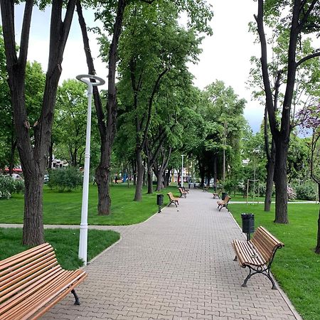 Floreasca Apartment Bach Бухарест Екстер'єр фото
