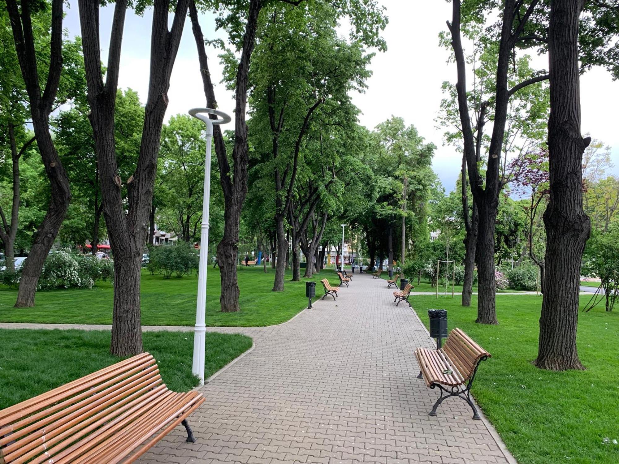 Floreasca Apartment Bach Бухарест Екстер'єр фото