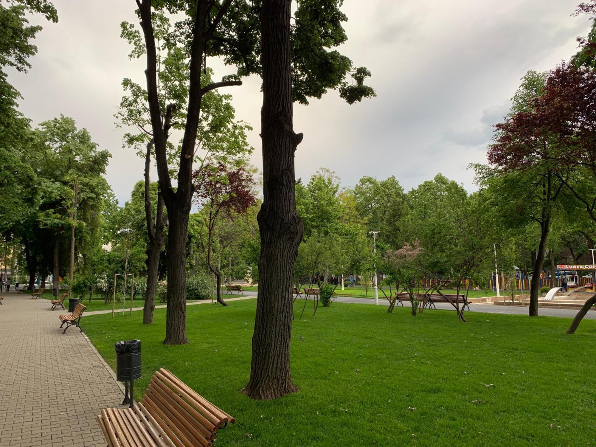 Floreasca Apartment Bach Бухарест Екстер'єр фото